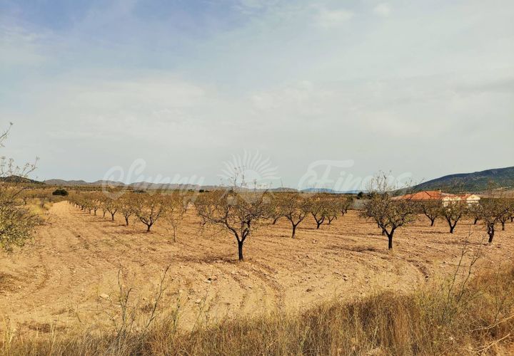 Helårsgrund i Raspay, Murcia, Raspay - € 65.000 | Ref: SF0353 - foto 1